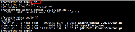 image-20210308153354092