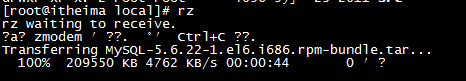 image-20210308173452718