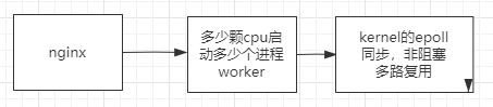 image-20210313164359128