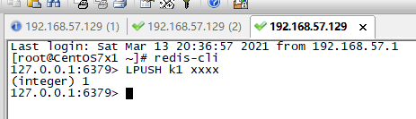 image-20210313204301276